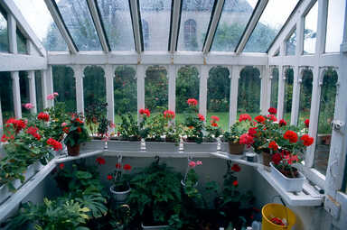 Alba House Greenhouse