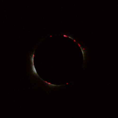 Animation of the 1999 Total Solar Eclipse
