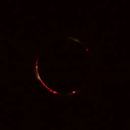 Total Solar Eclipse