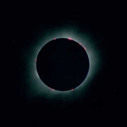 Total Solar Eclipse with Prominences